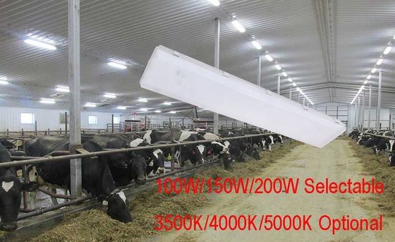 Снижаемый 150W 4FT светодиодный паровой тесной парковки светодиодный паровой тесной высокой бухты осветительных решений