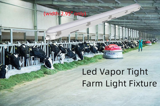 4FT Tri Proof LED Light Fixture 42W Линейный паровый тесный свет для хранения пищи