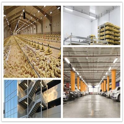 Гаражный склад 5FT IP66 LED Tri Proof Fixture Паровый плотнотуменный свет 55W AC 110V ±10%