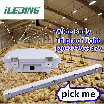 IP67 155W 3500K 4000K 5000K 4FT LED Паровой высокоупорный корпус для промышленных складов